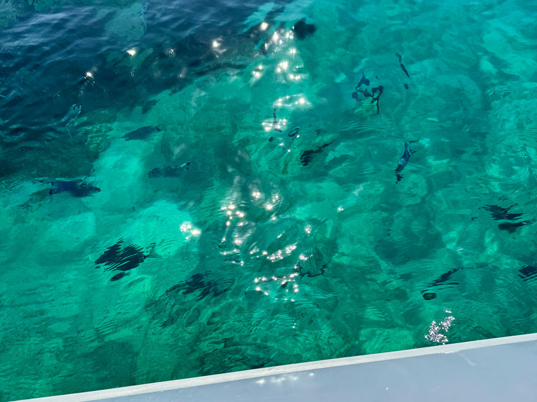 浮岛-福门特拉岛必去景点