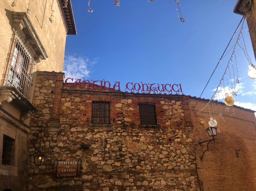 Contucci Cantine-蒙特普尔恰诺必去景点