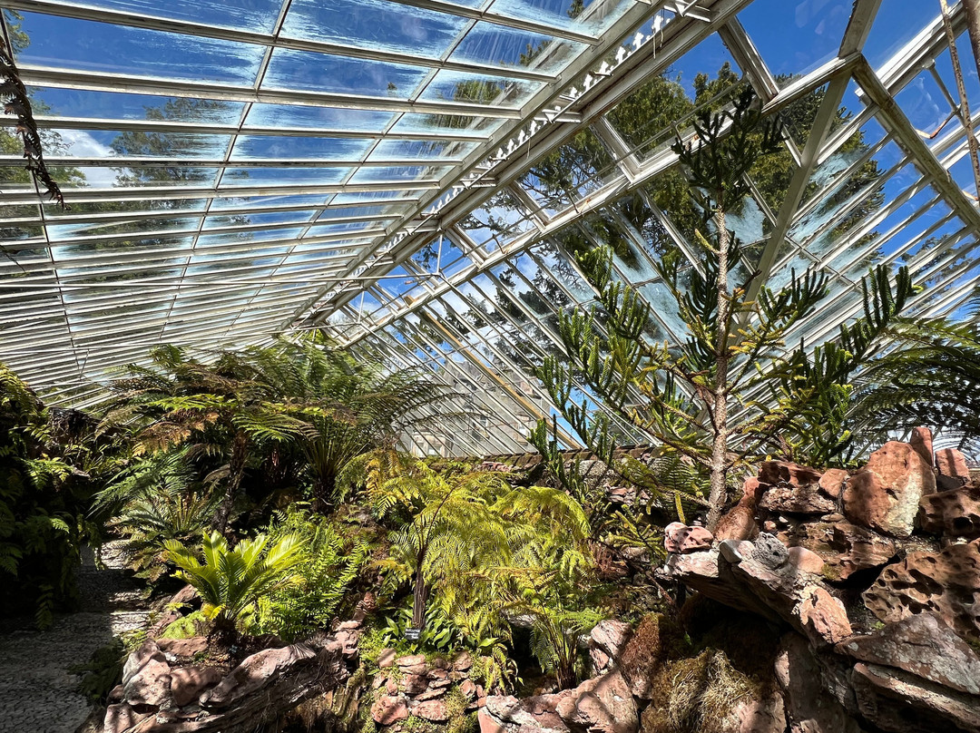Ascog Hall Fernery and Garden-Ascog必去景点