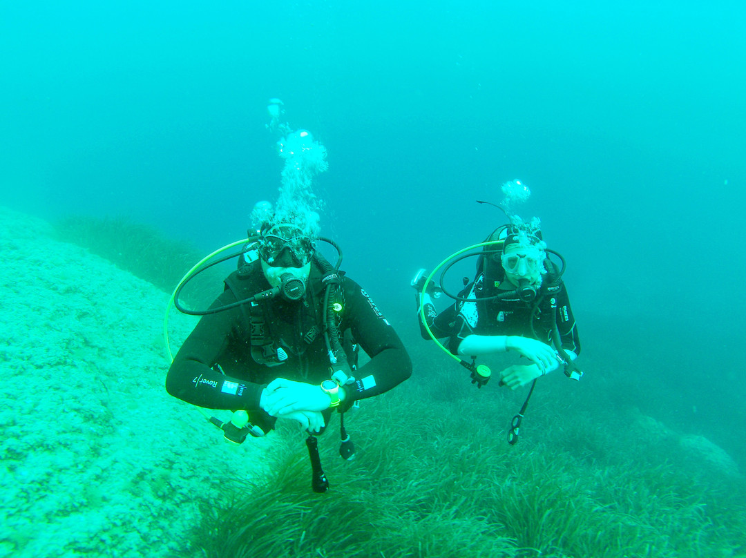 East Coast Divers Mallorca-Portocolom必去景点