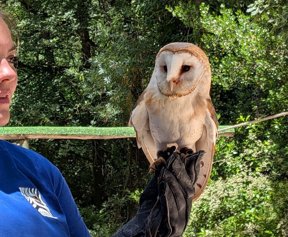 Zoo African Safari-Plaisance-du-Touch必去景点
