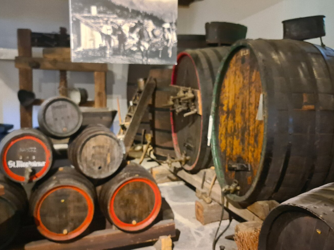 Castello Rametz - Wine Museum-梅拉诺必去景点