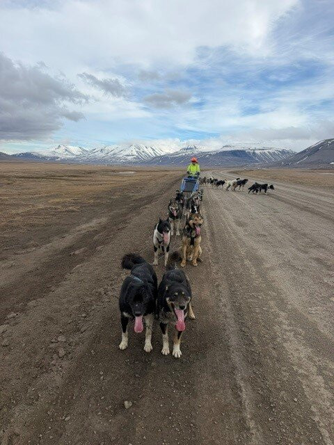 Green Dog Svalbard-朗伊尔城必去景点