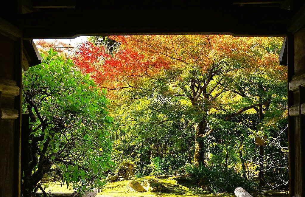 Kongorin-ji Temple Myojyuin Garden-爱庄町必去景点