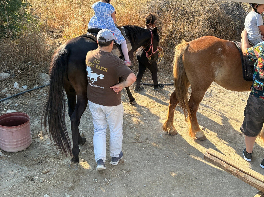 A&E Elpida Ranch-Lachania必去景点