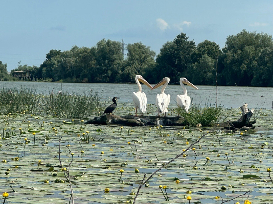 FlorianMagellan-excursii-trips-Alternative Tourism-Sulina必去景点