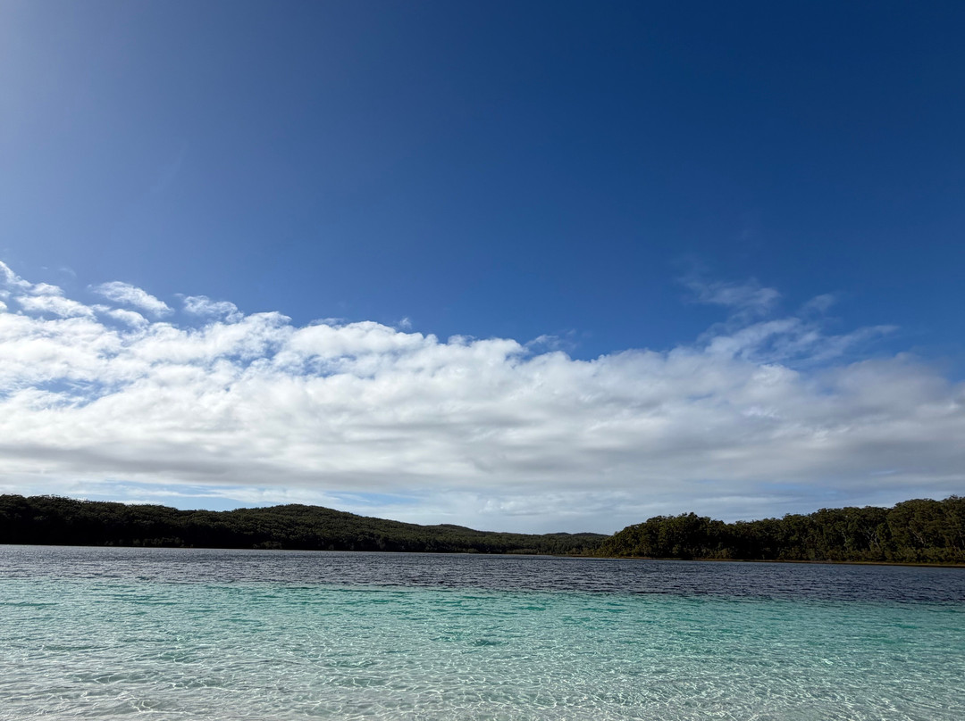 Drop Bear K'gari Fraser Island Adventures-弗雷泽岛必去景点