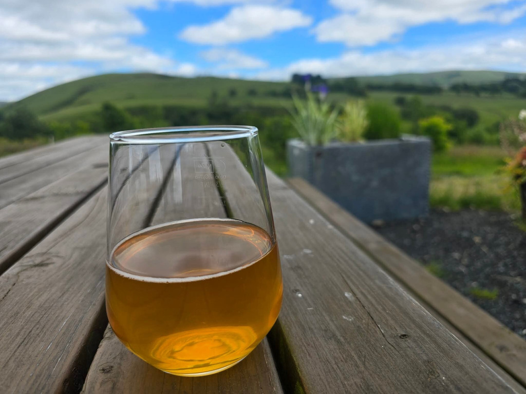 Welsh Mountain Cider Tours and Tastings