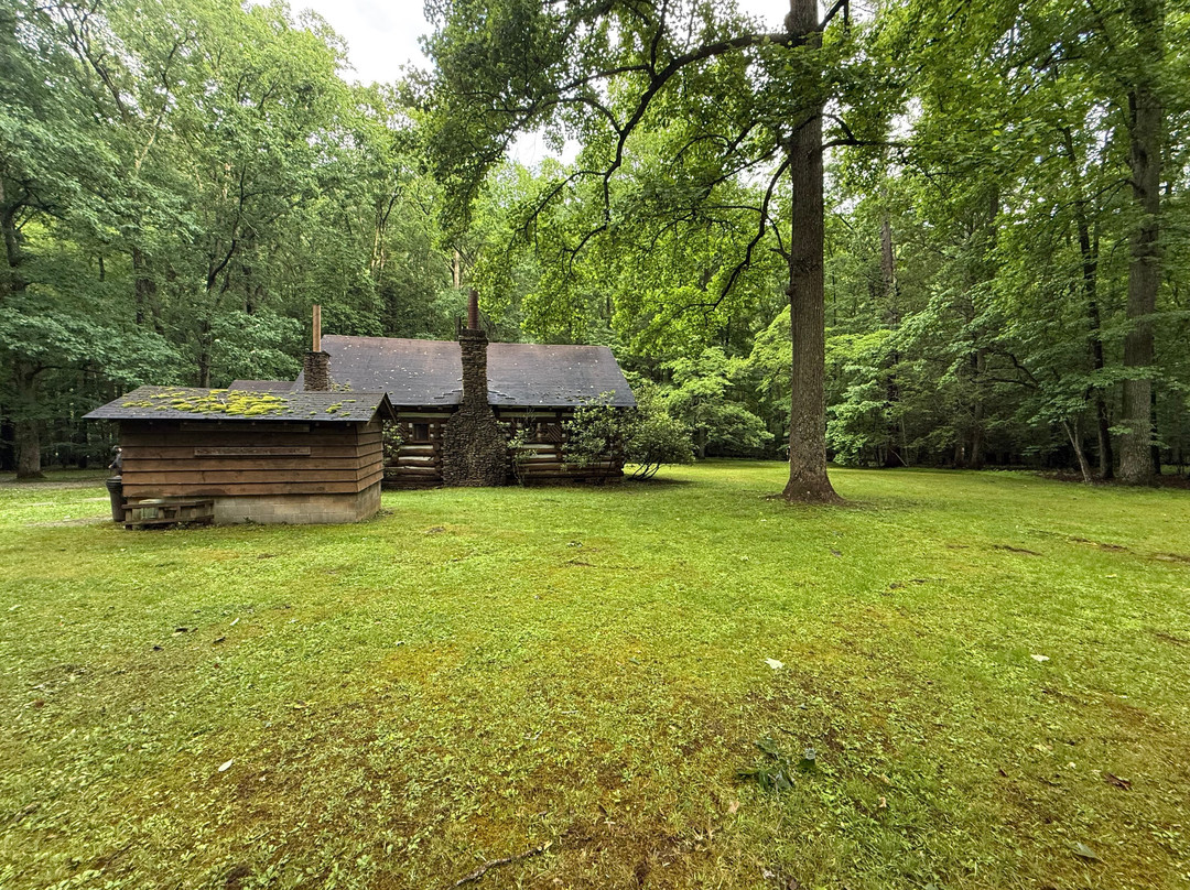 Seneca State Forest-Marlinton必去景点