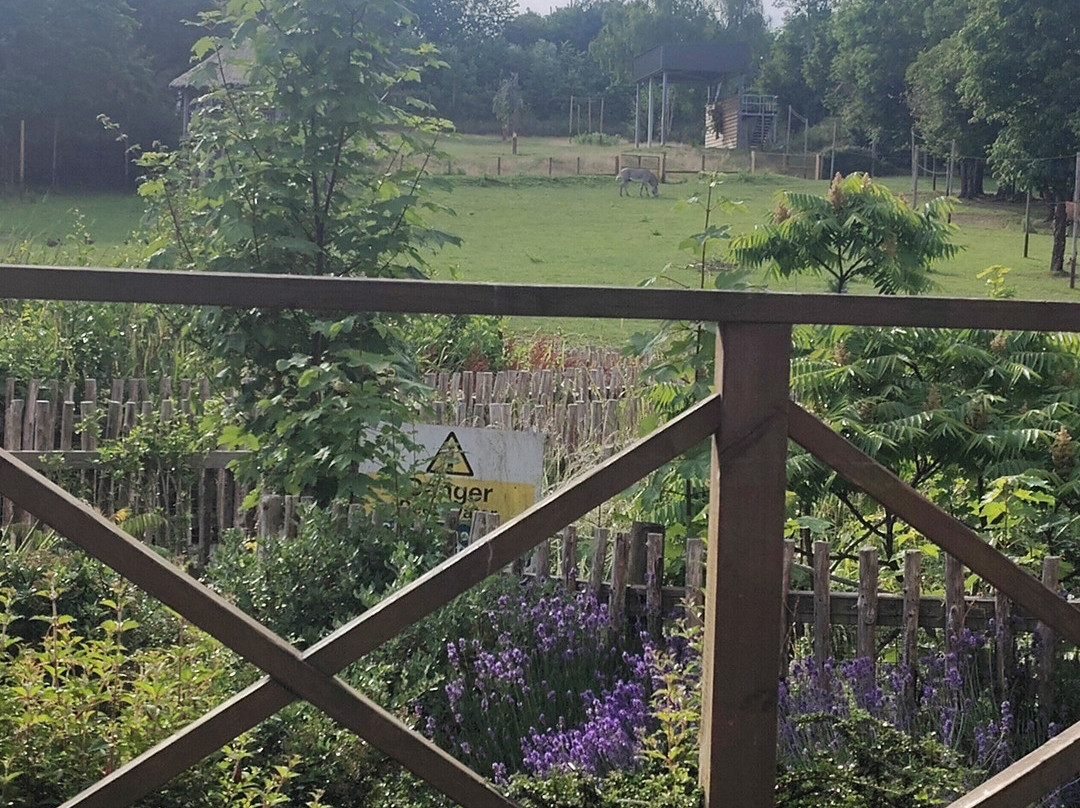 Chessington Safari Hotel主图