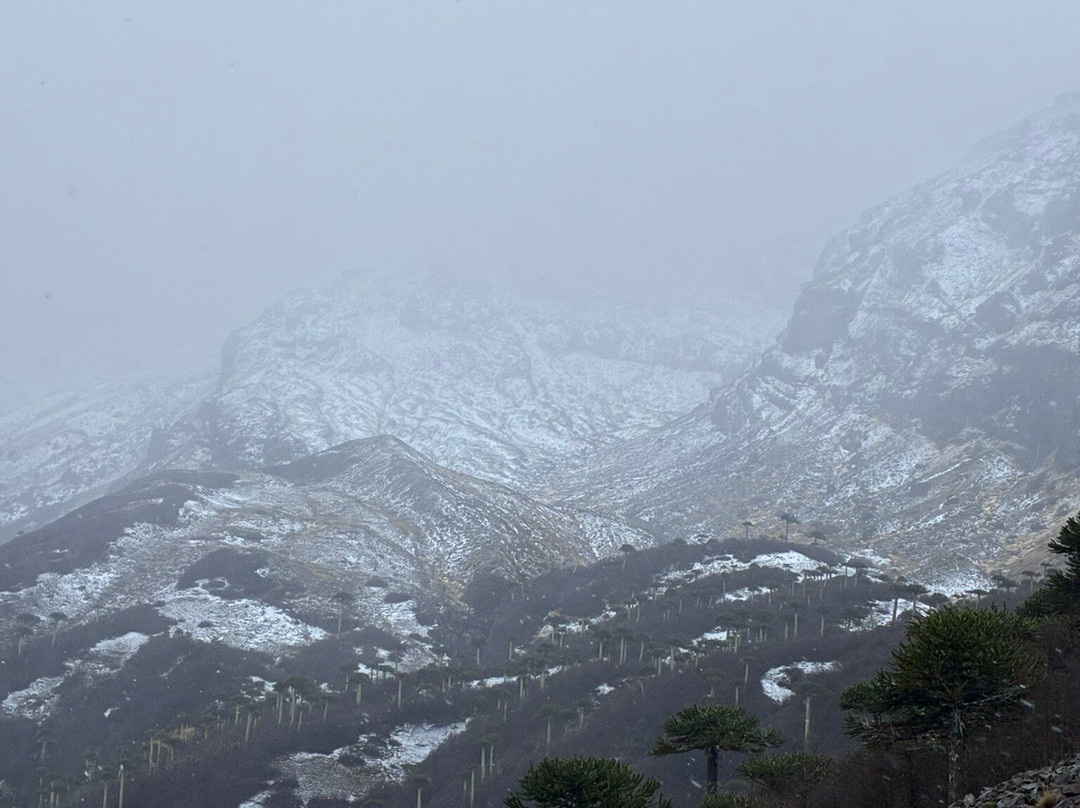 Parque Nacional Conguillio-Melipeuco必去景点