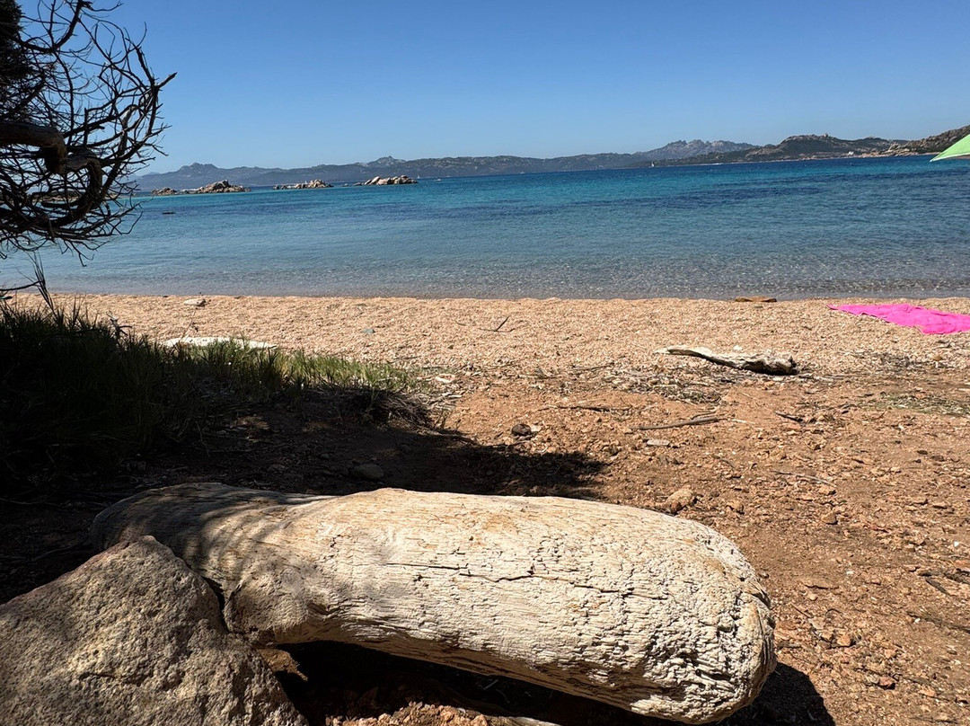 Spiaggia Porto Palma-Caprera必去景点