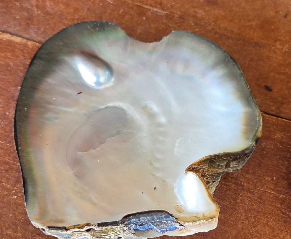 Huahine Pearl Farm-Huahine必去景点