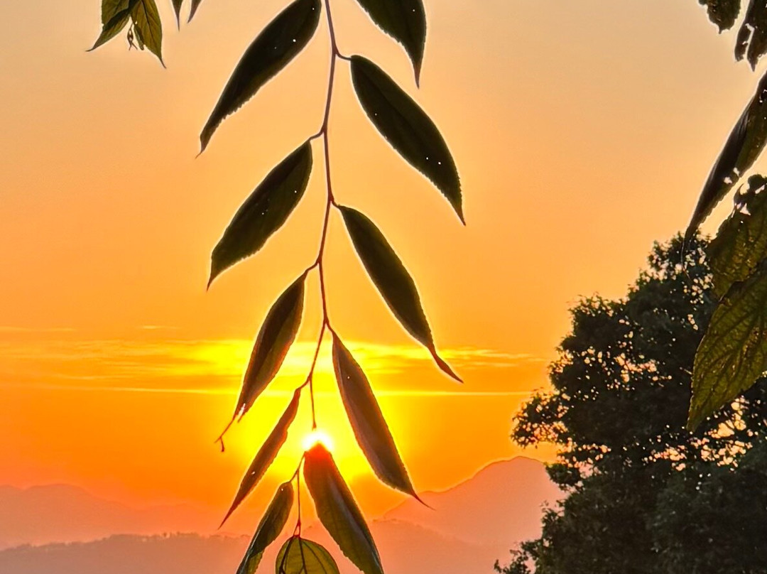 Daleside Manor, Boutique Hotel, Kasauli主图