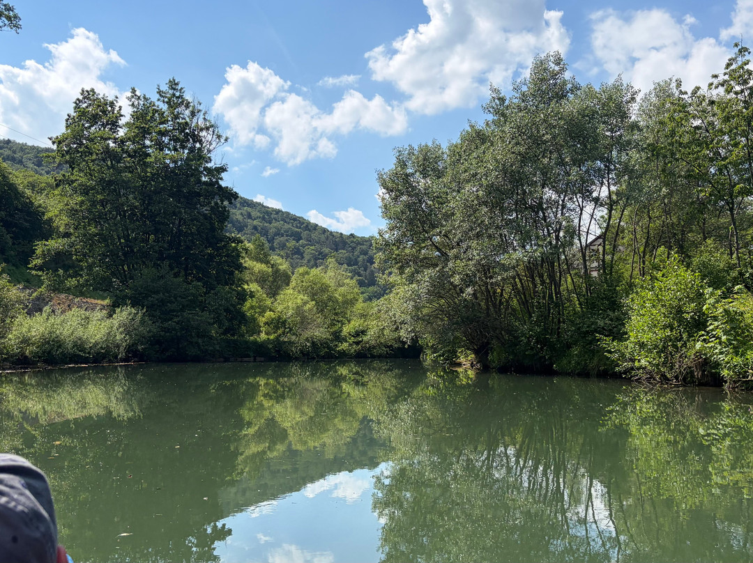 Leinen Los | Outdoorevents in Franken-Gossweinstein必去景点