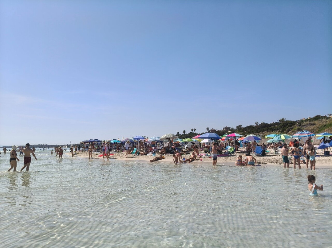 La Pelosa Beach-斯廷蒂诺必去景点