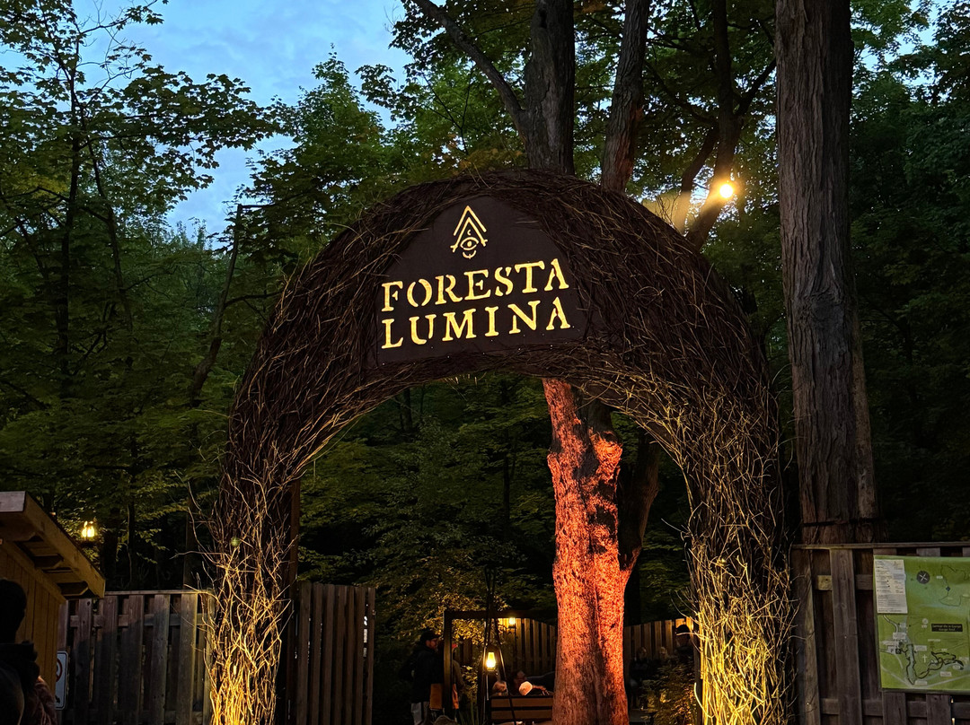 Foresta Lumina-Coaticook必去景点