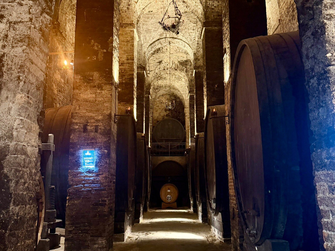 De'Ricci Cantine Storiche-蒙特普尔恰诺必去景点