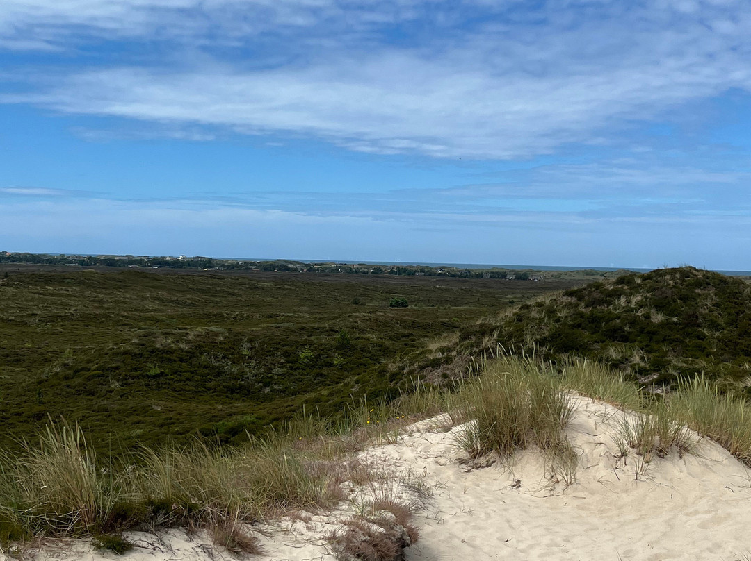 Henne Strand-Henne Strand必去景点