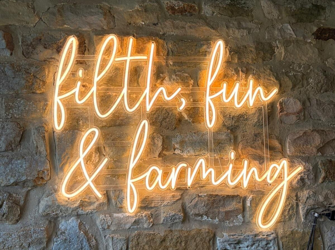 Farm Adventure Yorkshire-马沙姆必去景点