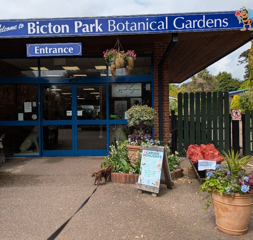 Bicton Park Botanical Gardens-Bicton必去景点