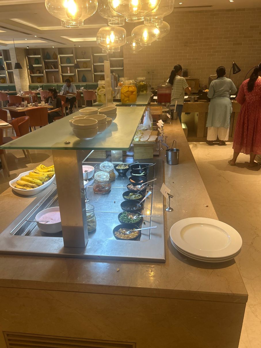加尔各答新镇柠檬树高级酒店-旅行者