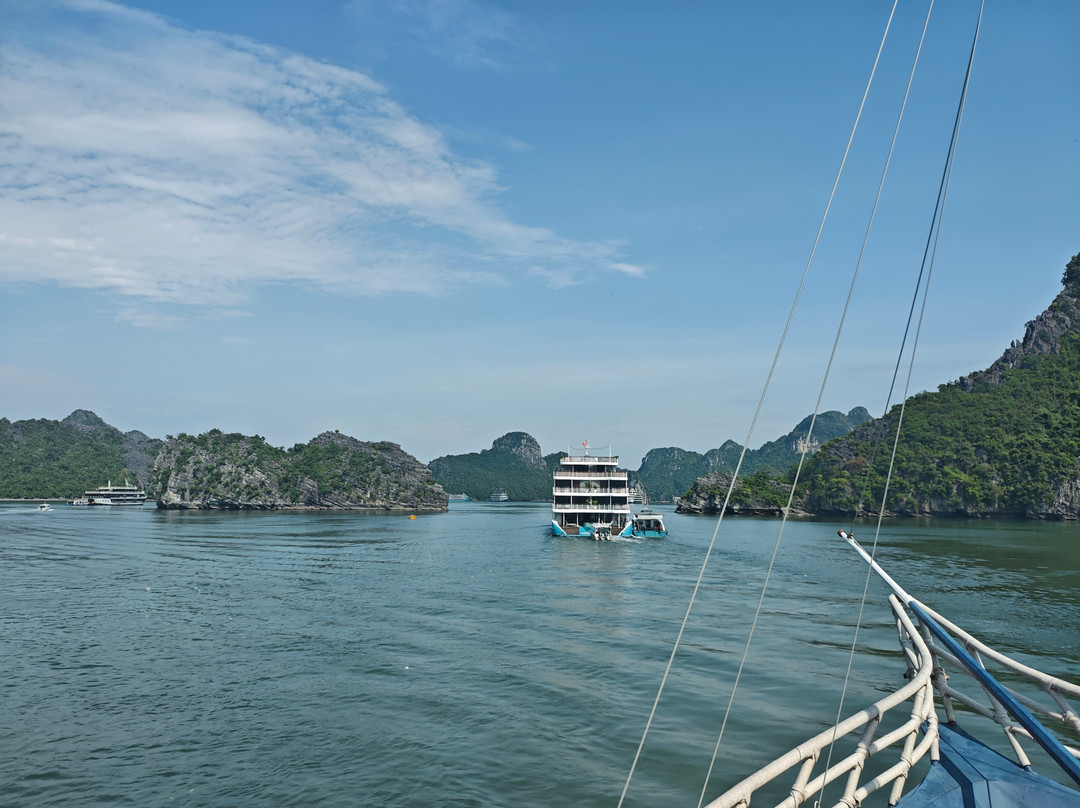 Verdure Lotus Cruises-团洲岛必去景点