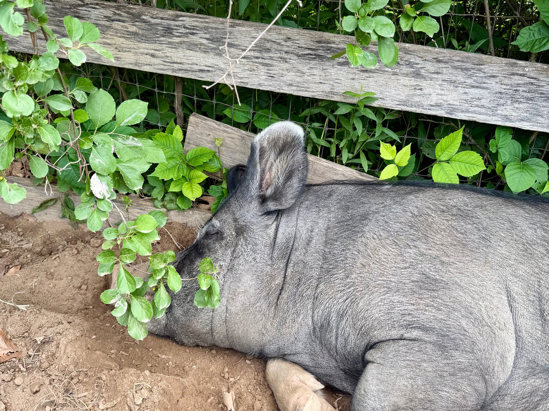 Catskill Animal Sanctuary-Saugerties必去景点