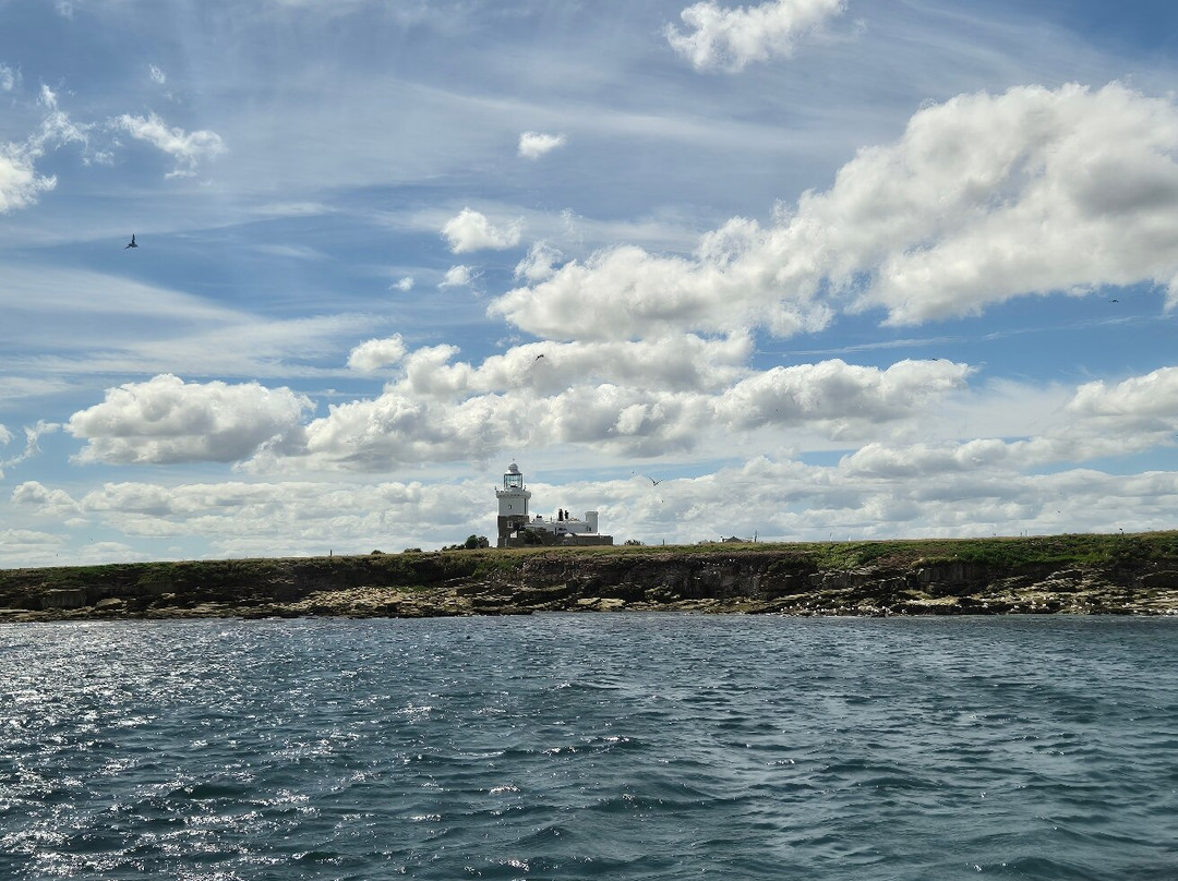 Amble boat trips-Amble必去景点