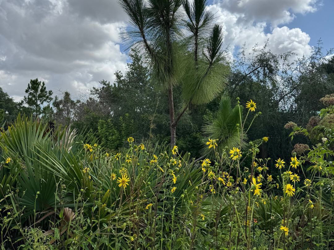Bok Tower Gardens-莱克威尔士必去景点