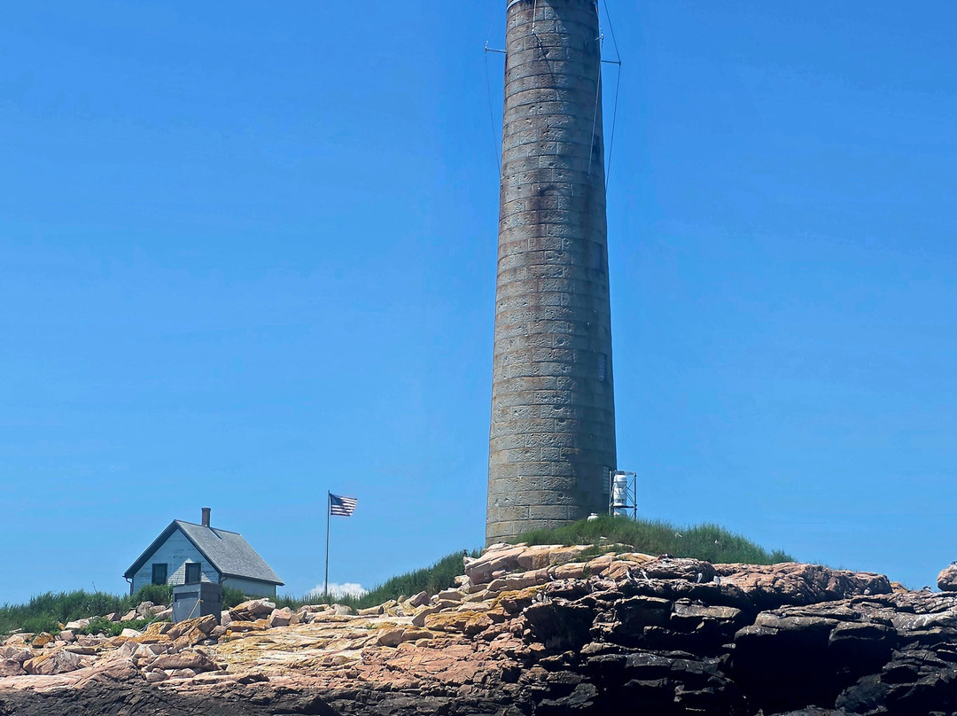 Robertson Sea Tours & Adventures-Milbridge必去景点
