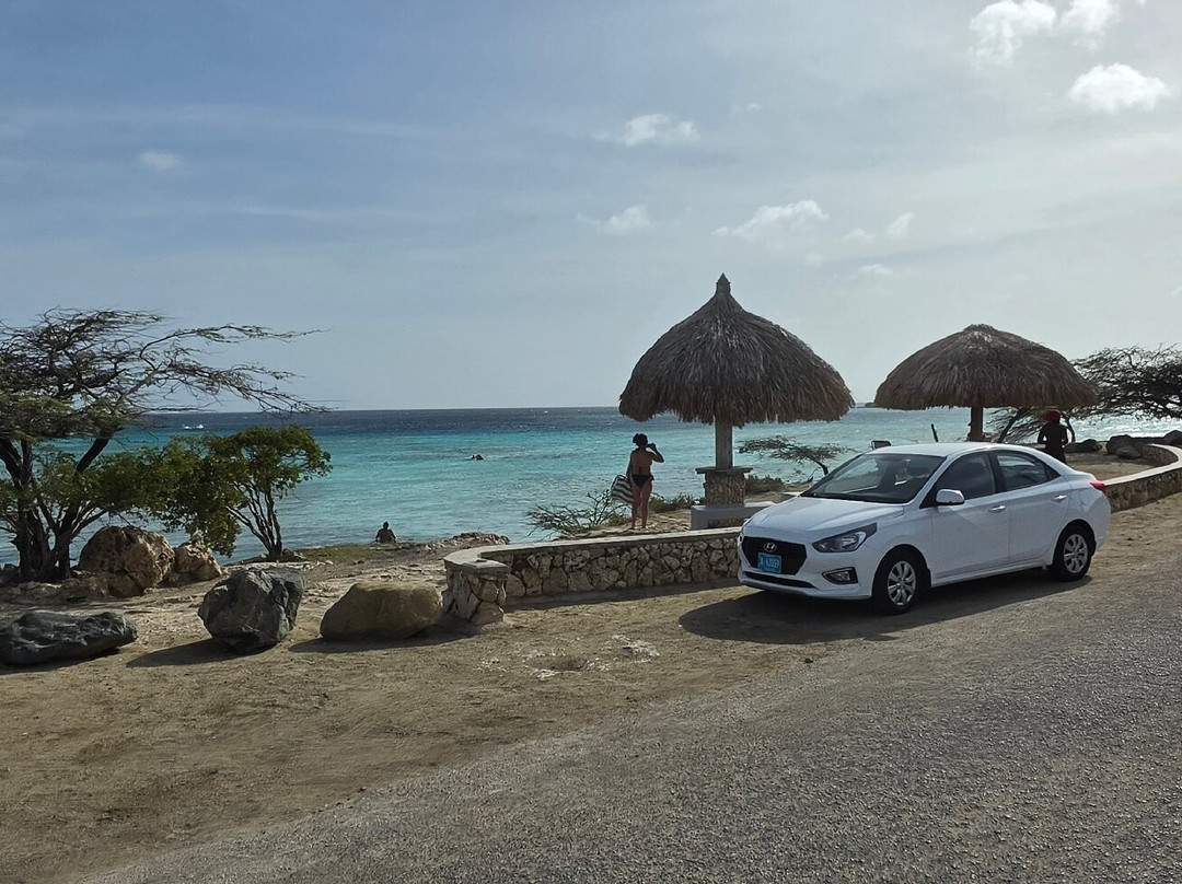 ABC Tours Aruba-奥腊涅斯塔德必去景点