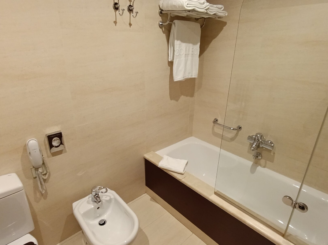 布尔戈斯宫NH典藏酒店主图