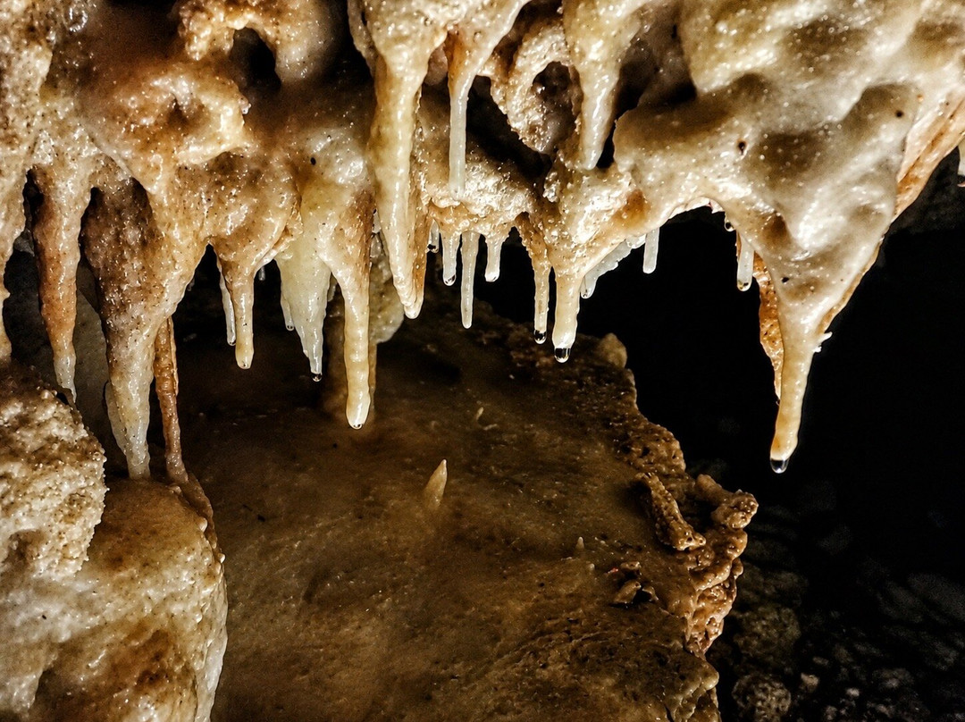 Go Caving Bonaire-Kralendijk必去景点