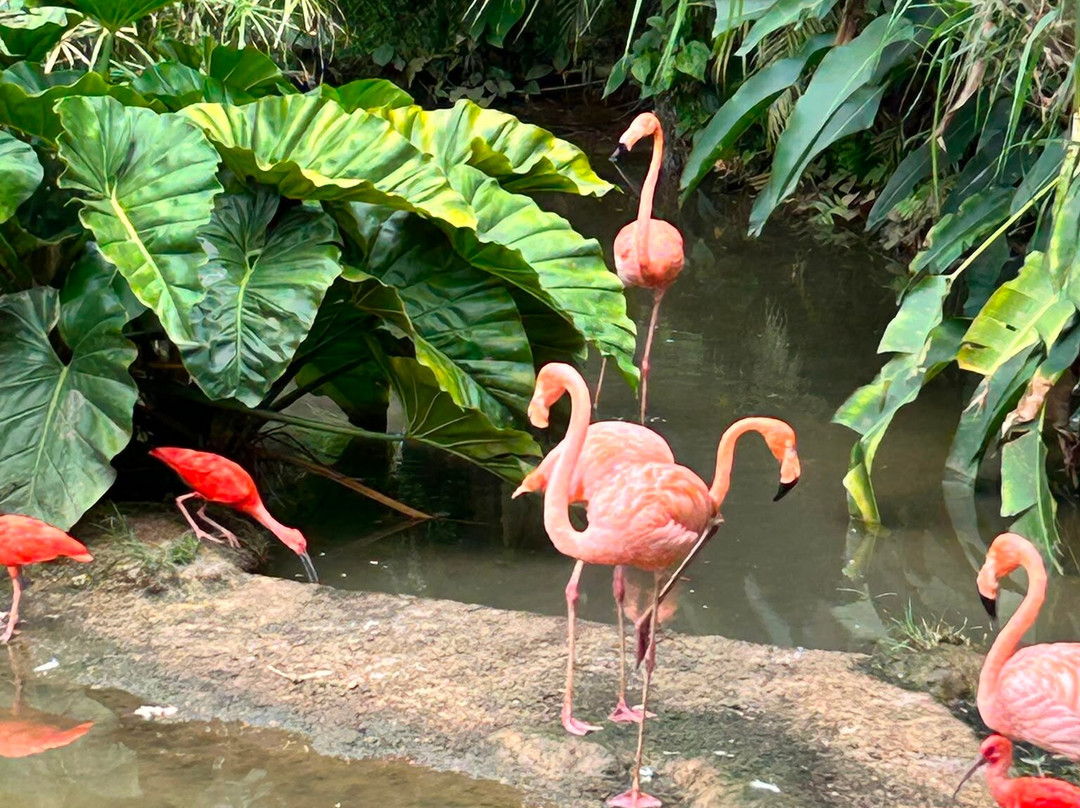 Jardin Botanique de Valombreuse-Petit-Bourg必去景点