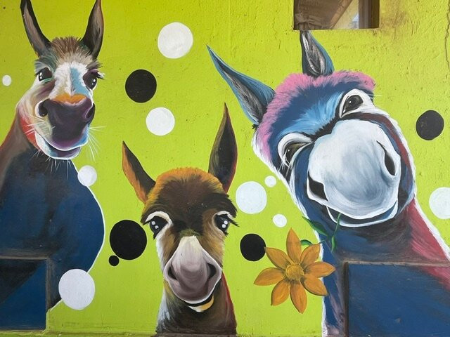Donkey Sanctuary Aruba-Santa Cruz必去景点