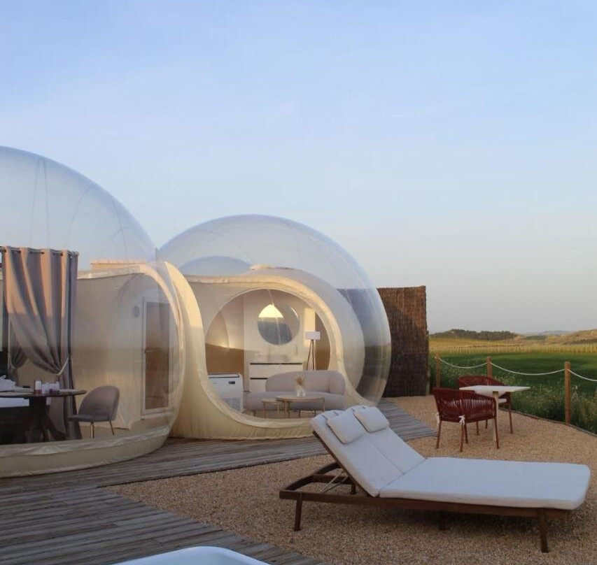 Wine Bubble