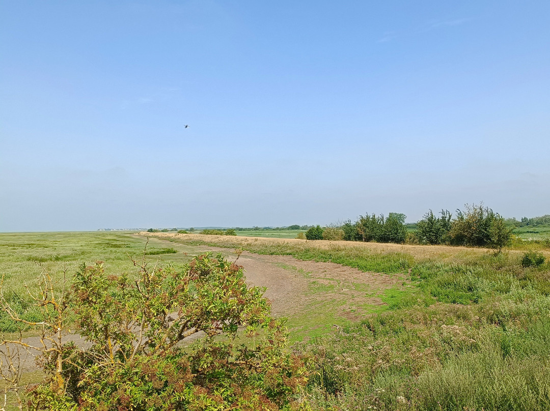 Petit train de la baie de la Somme-Le Crotoy必去景点