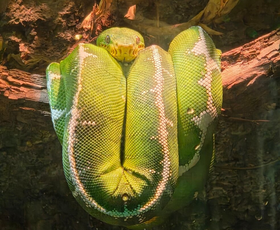 Nashville Zoo-纳什维尔必去景点