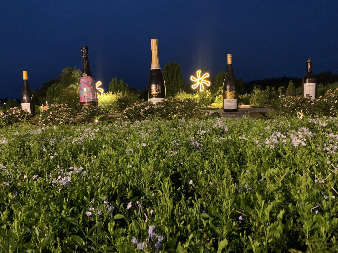 Sula Vineyards-纳西克必去景点