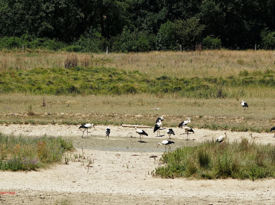 Domaine des Oiseaux-Mazeres必去景点