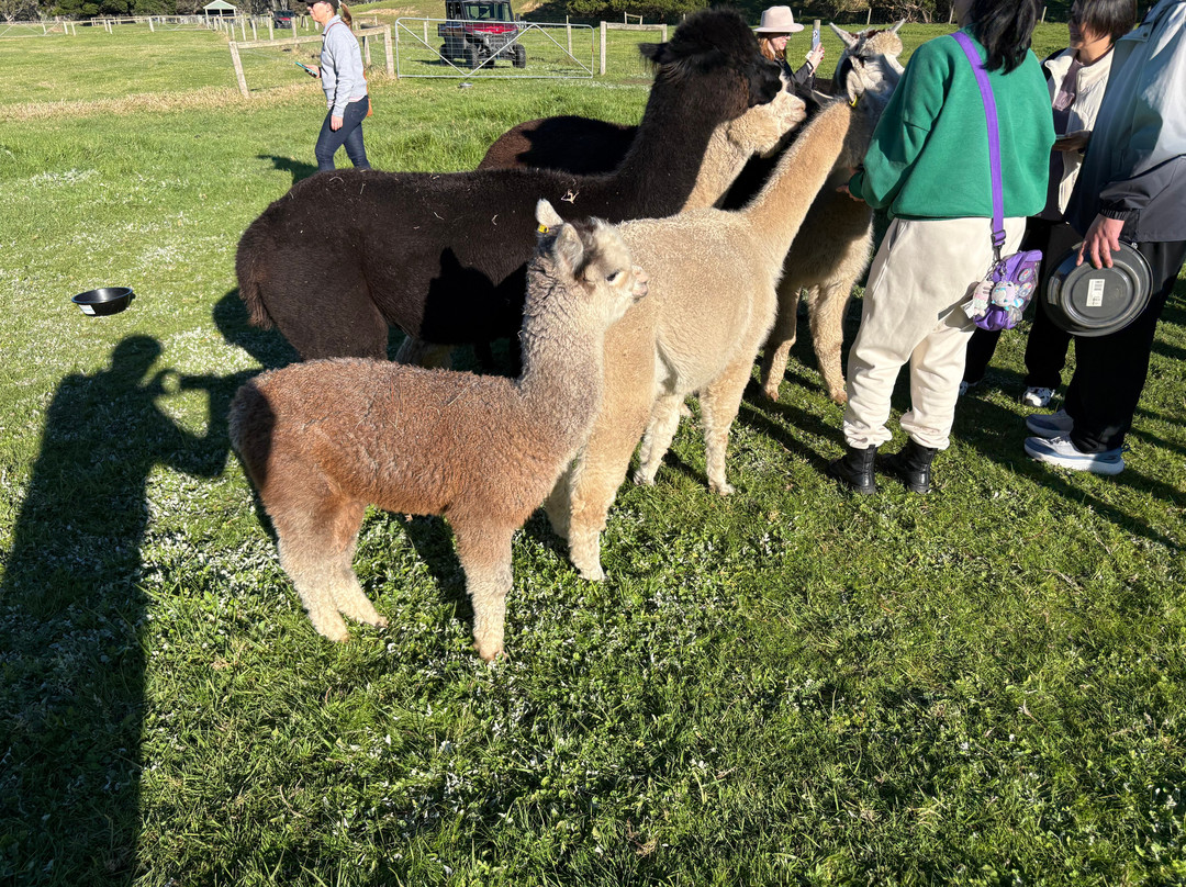 Softfoot Farm & Wildlife Park-Hindmarsh Valley必去景点