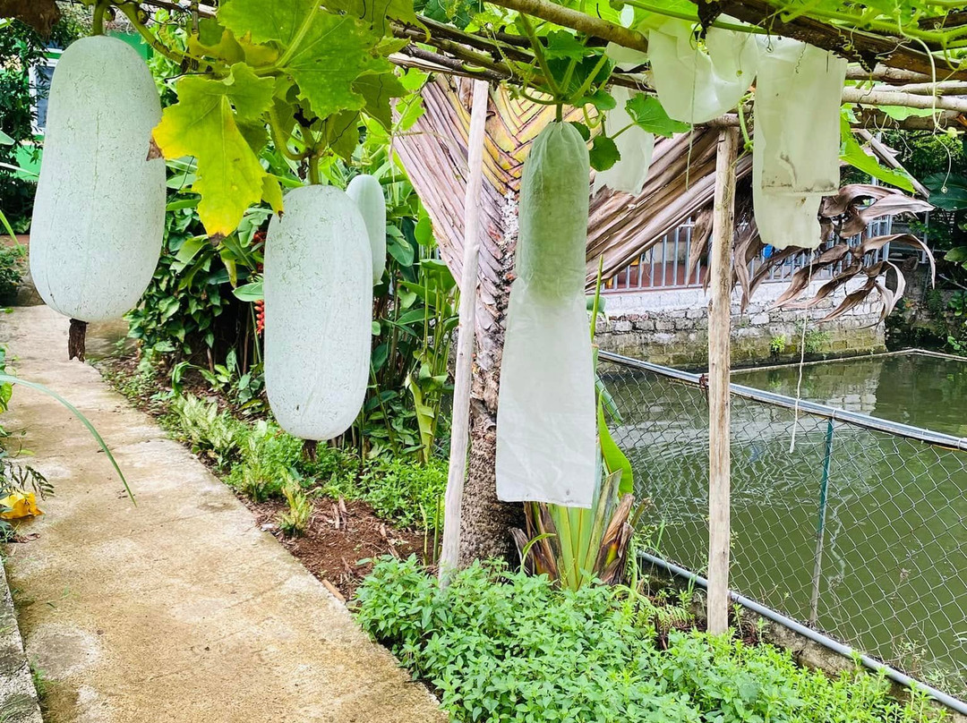 Dong Du Village Responsible Tourism-Nghia Thuan必去景点