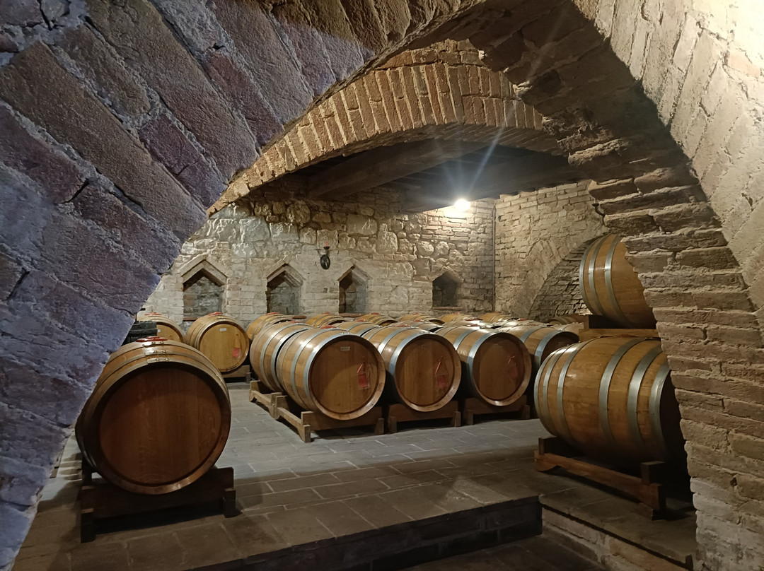 Azienda Agricola Ercolani-蒙特普尔恰诺必去景点