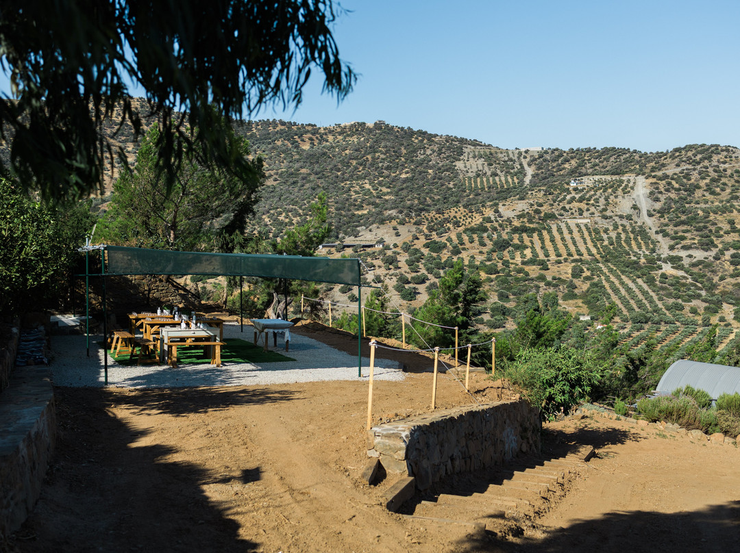 Botaniá - Mediterranean Herb Farm & Experiences-Agia Galini必去景点