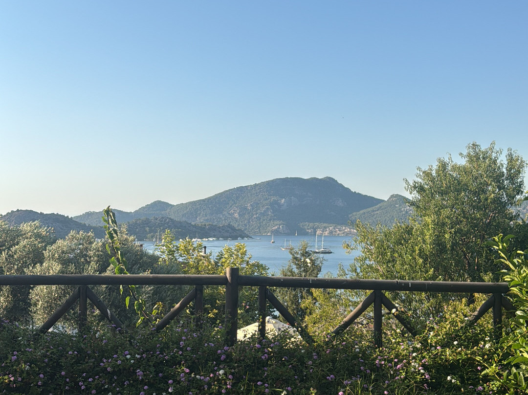 波霍花园赛利米耶主图