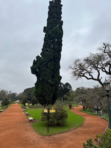 Rosedal De Palermo-布宜诺斯艾利斯必去景点