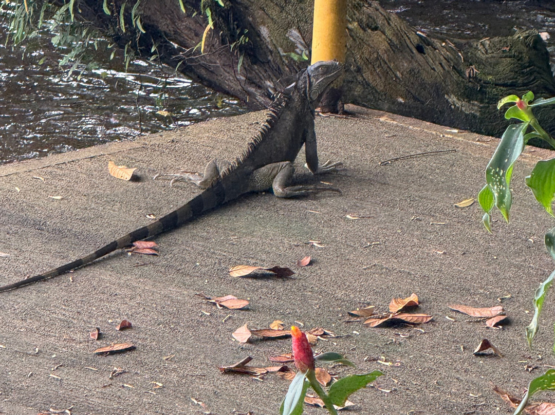 Costa Rica Roots Tours-托图杰多必去景点