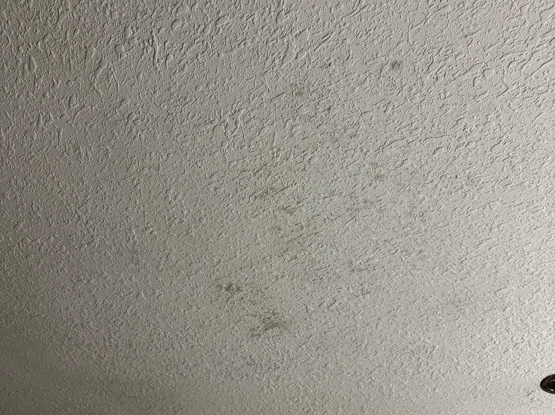 加登戴尔贝斯特韦斯特优质酒店主图