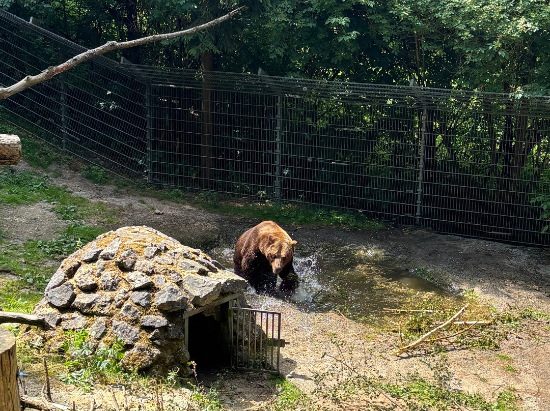Wild- und Freizeitpark Willingen-Willingen必去景点